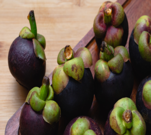 mangostino (1) (1)